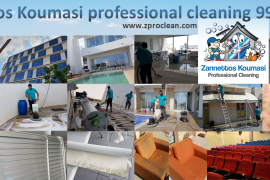 PROFESSIONAL CLEANING SERVICES 