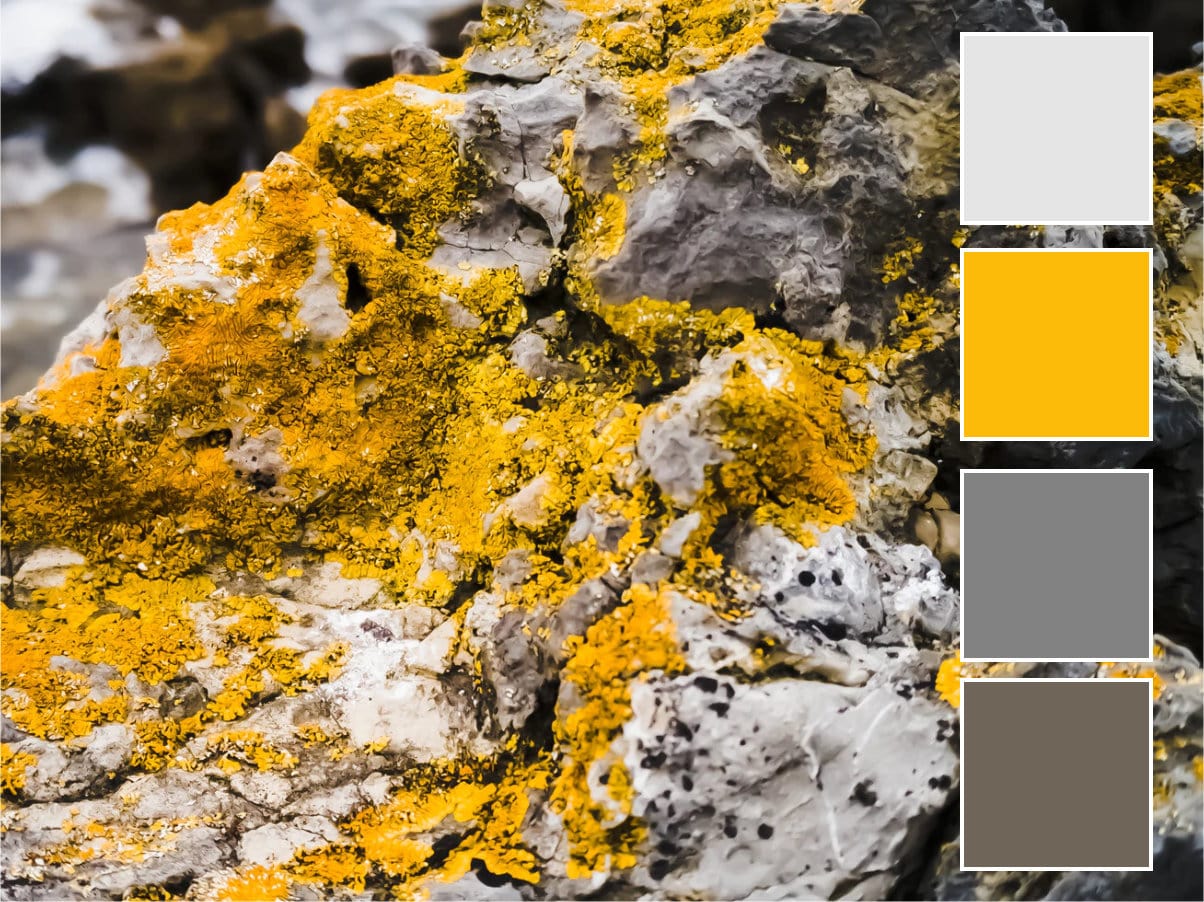 Yellow colour palette